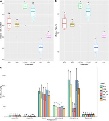 Soil properties, rhizosphere bacterial community, and plant performance respond differently to fumigation and bioagent treatment in continuous cropping fields